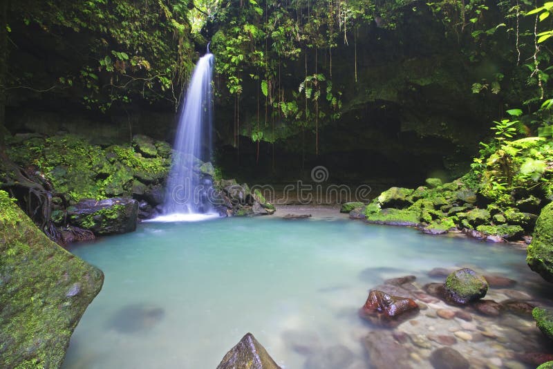 Esmeralda piscina profundo en la lluvia Bosque de isla de república dominicana.