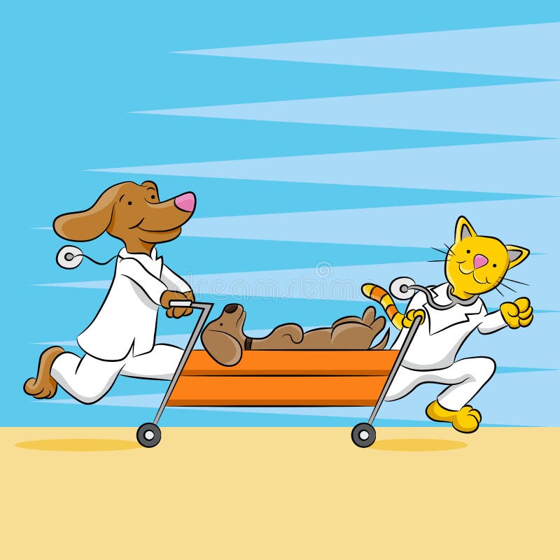 Pet Hospital Stock Illustrations – 20,172 Pet Hospital Stock Illustrations,  Vectors & Clipart - Dreamstime