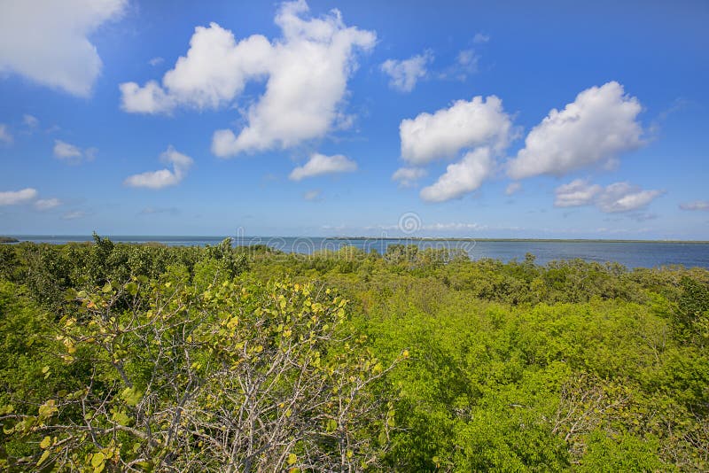 Emerson Point Preserve High View av horisonten över golfen av Mexico royaltyfria bilder Emerson Point Preserve High View av horisonten över golfen av Mexico royaltyfria bilder