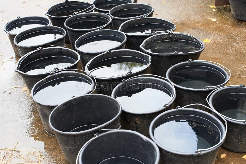 Emmers water voor het drinken paarden stock afbeelding Emmers water voor het drinken paarden stock afbeelding