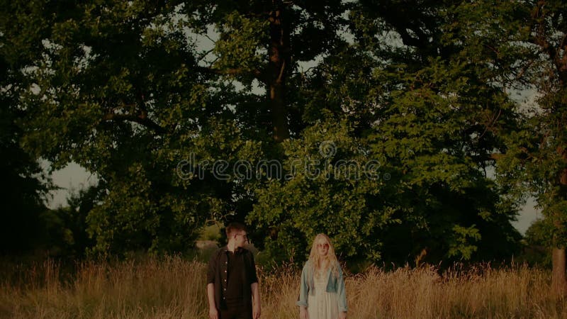Emotionale liebe konzept junge hippie liebhaber porträt stock footage