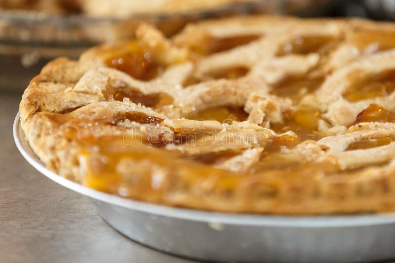 Empanada de Apple imágenes de archivo libres de regalías Empanada de Apple imágenes de archivo libres de regalías