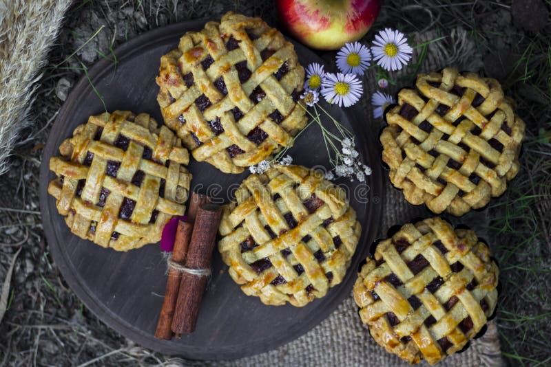 Empanadas de la mano de la manzana, stciks del canela y manzanas orgánicos hechos en casa fotografía de archivo Empanadas de la mano de la manzana, stciks del canela y manzanas orgánicos hechos en casa fotografía de archivo