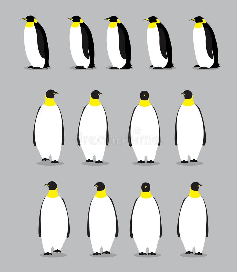 Emperor Penguin Walking Motion Sequence Cartoon Vector Illustration Stock  Vector - Illustration of character, arctic: 142434602