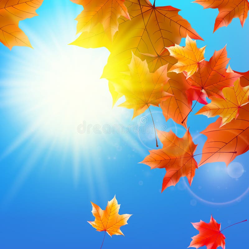 Empfindliche Herbstsonne mit grellem Glanz auf blauem Himmel stock abbildung Empfindliche Herbstsonne mit grellem Glanz auf blauem Himmel stock abbildung