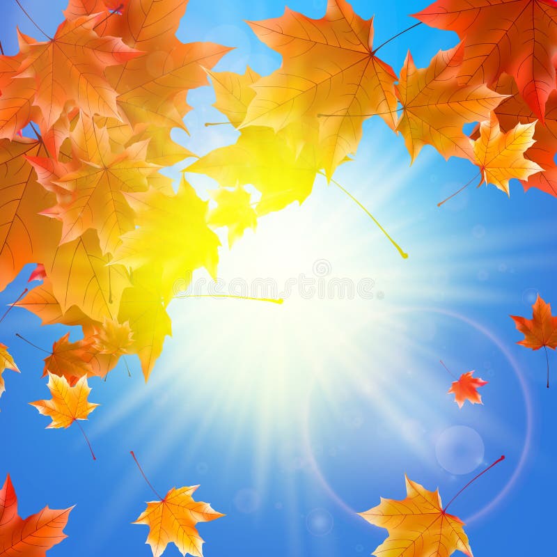 Empfindliche Herbstsonne mit grellem Glanz auf blauem Himmel vektor abbildung Empfindliche Herbstsonne mit grellem Glanz auf blauem Himmel vektor abbildung