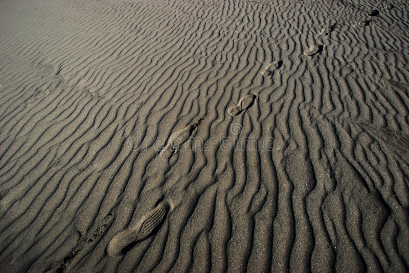 Empreintes de pas en sable normal photographie stock Empreintes de pas en sable normal photographie stock