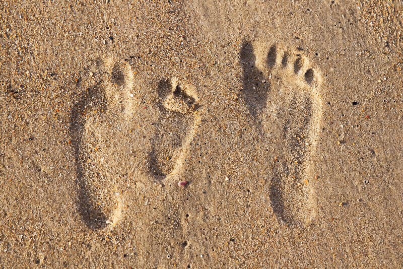 Empreintes de pas de famille dans le sable sur la plage image libre de droits Empreintes de pas de famille dans le sable sur la plage image libre de droits