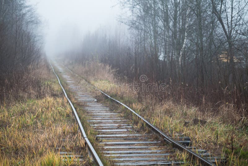 Empty abandoned railway goes through foggy forest