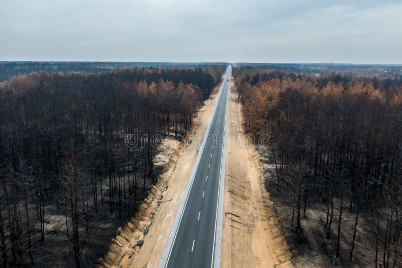 Empty asphalt highway between burnt pine forest royalty free stock photos