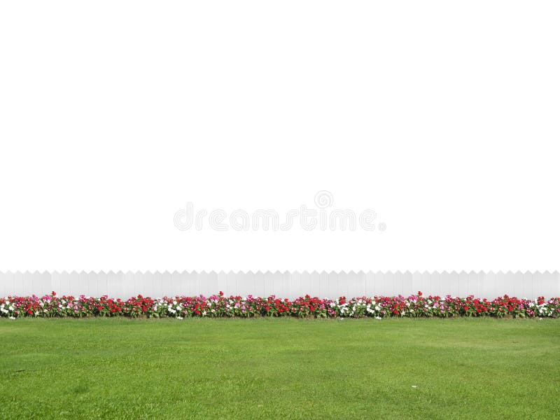 Empty backyard isolated on white background with copy space royalty free stock photography