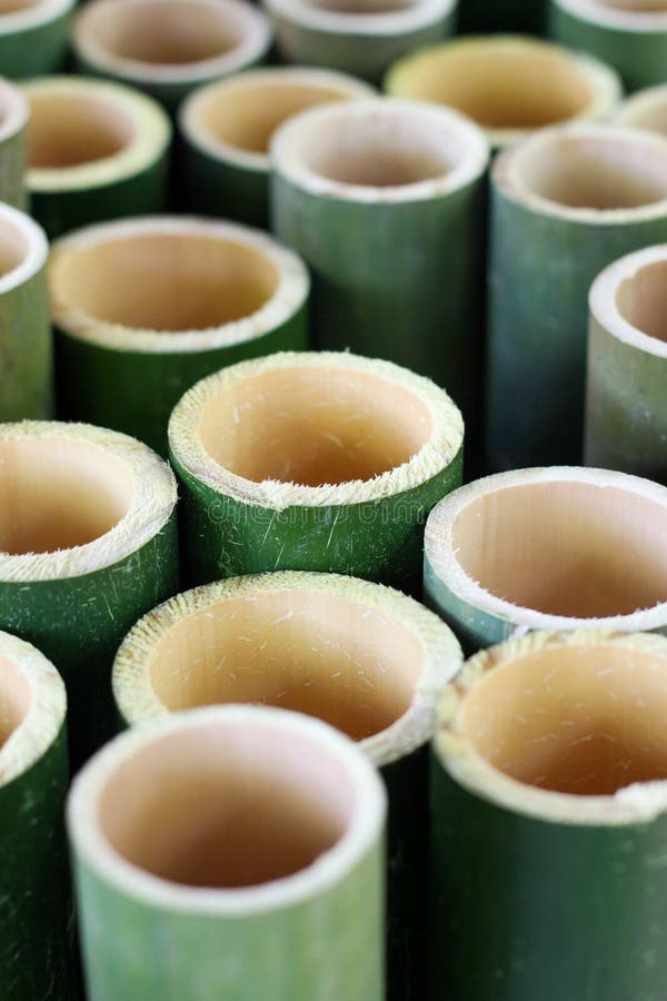 Bamboo Cup