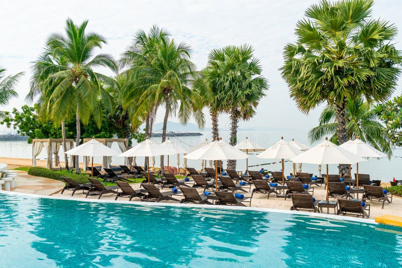 Empty Beach Chair Around Swimming Pool Stock Photo Image of coconut