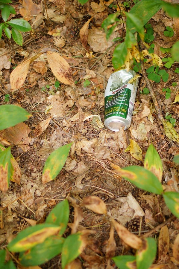 Beer Can Laying on the Ground Editorial Image Image of color, trash 196567470