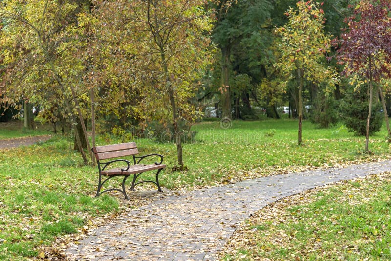 Empty bench in a park