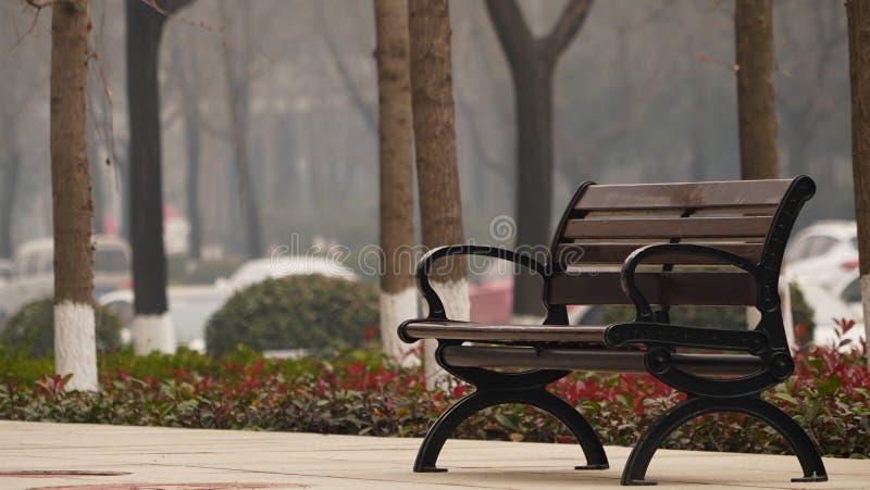 Empty Bench on Roadside, Trees and City Street Background Stock Image -  Image of morning, waiting: 206043601