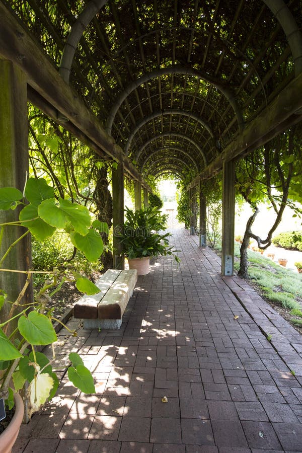 Empty benches in garden tunnel and shaped pergola