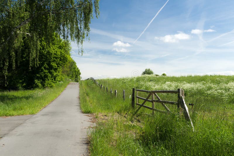 Empty bicycle path royalty free stock image