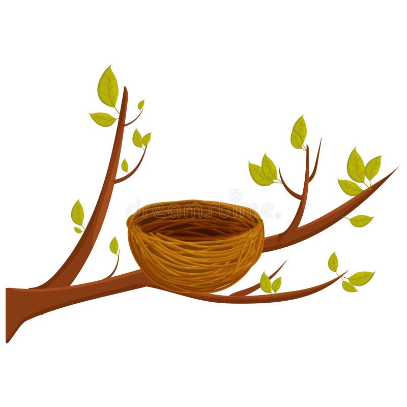 Empty bird nest from twigs on tree branch with leaves isolated on white background. Spring time, vector clipart, brown wooden