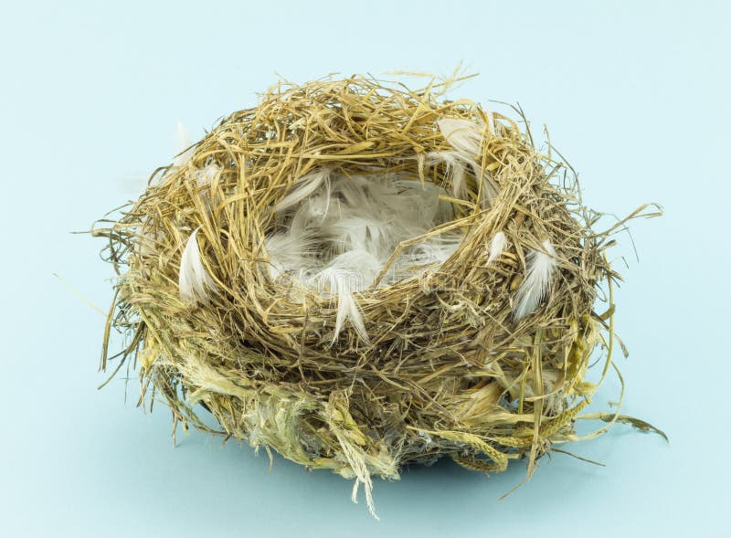 Empty bird`s nest with feathers on blue background - Conceptual stock photos Empty bird`s nest with feathers on blue background - Conceptual stock photos