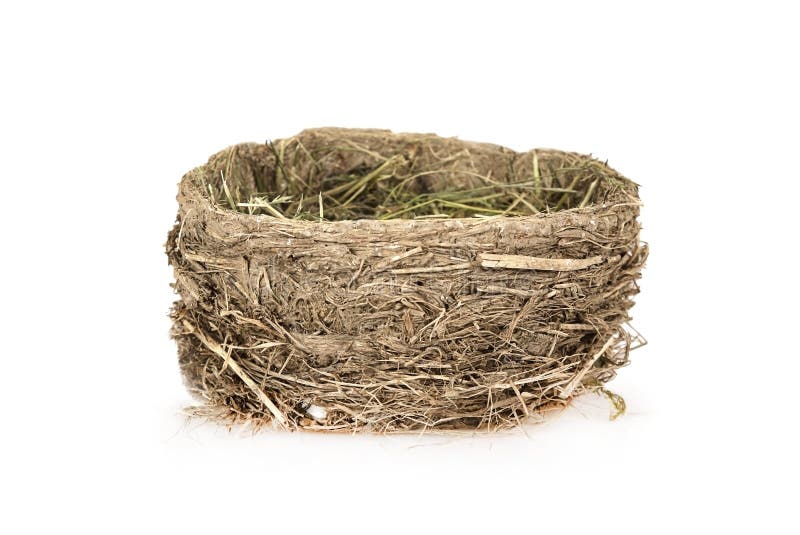 Gold bird s nest. Трава с пустым гнездом.