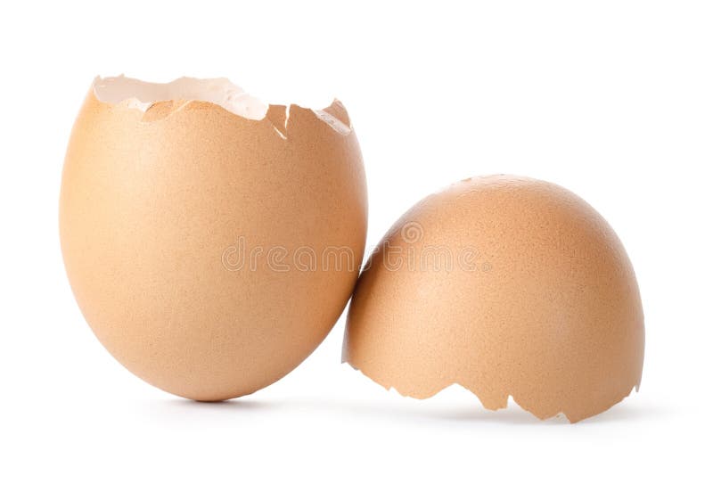 Empty brown egg shell