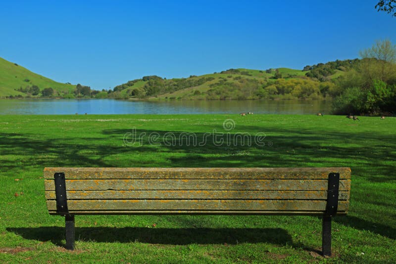 Empty Chair & Nature Background Stock Image - Image of ecology, horizontal:  13622131