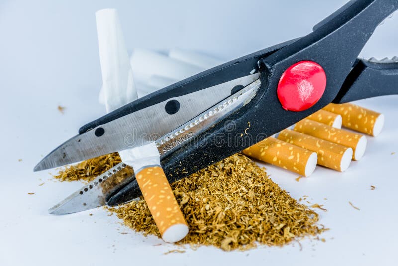 Empty Cigarette Tubes and Tobacco Stock Photo Image of tube, scissors