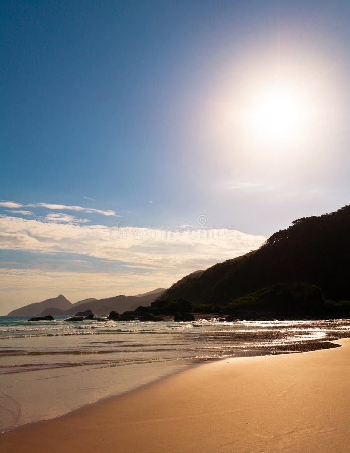 Empty and Clean Tropical Beach