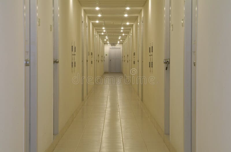 Empty corridor with doors royalty free stock image