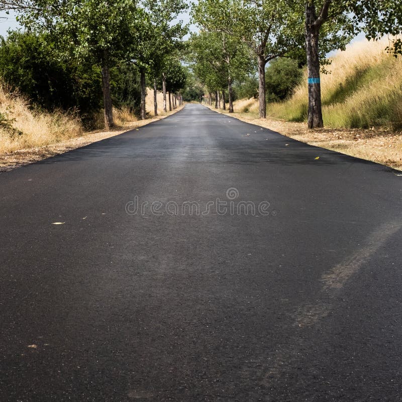 Empty country road without dividing lines. The asphalt is wet since it has just stopped raining stock photography Empty country road without dividing lines. The asphalt is wet since it has just stopped raining stock photography