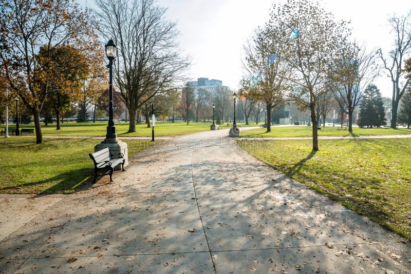 Empty Curving Path in a Park on a Sunny Morning