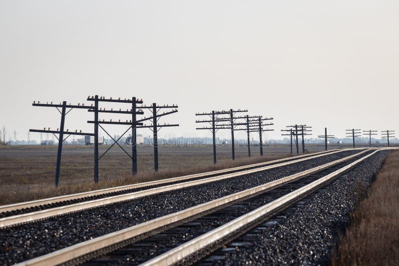 Telephone Poles Beside Train Tracks Stock Image Image of rail, steel
