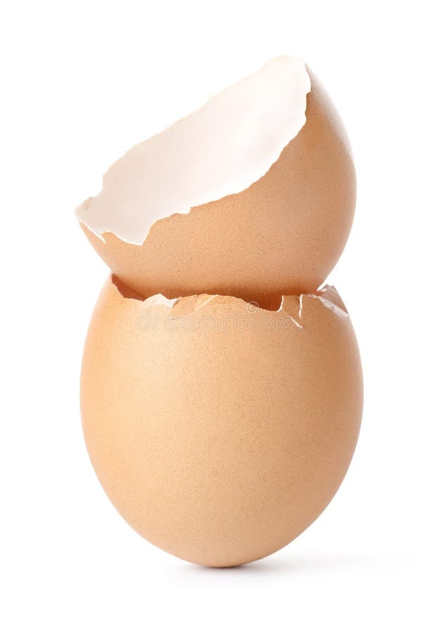 Empty egg shell