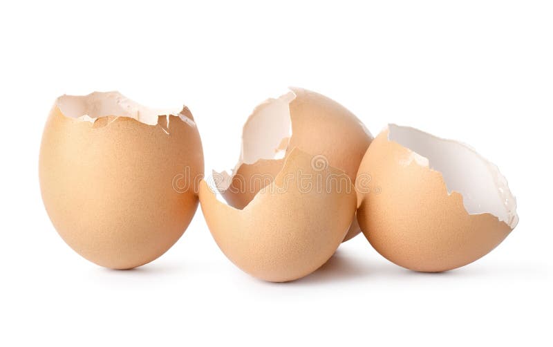 Empty eggs shell