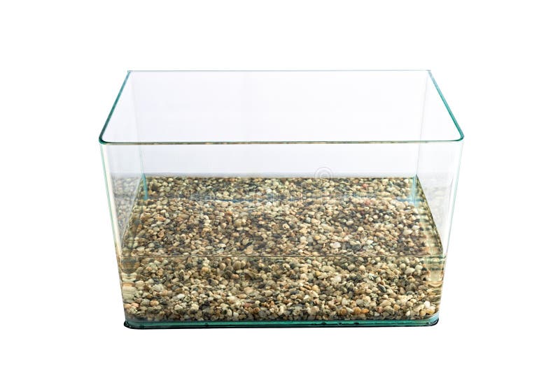 Empty Glass Water Tank (aquarium) Stock Photo Image of animal