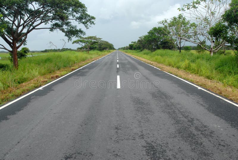 Empty highway