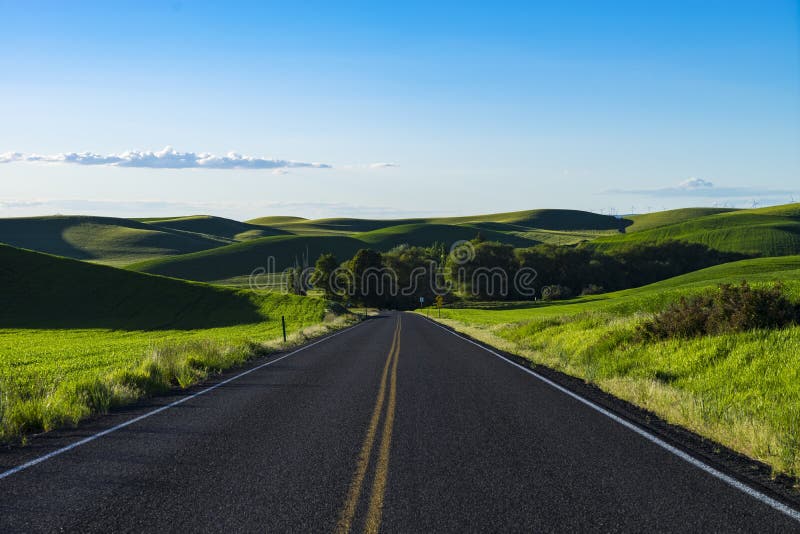 Empty highway in wheat fields of Eastern Washington state