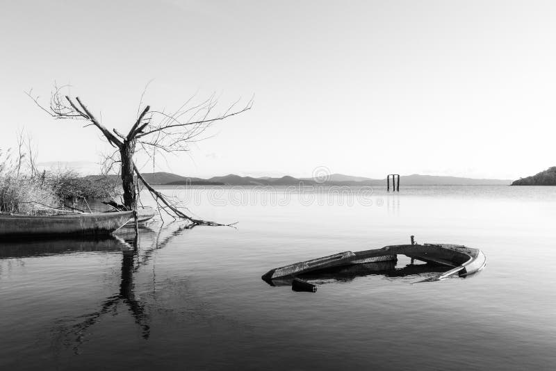 An empty little boat near a tree, in perfectly still water, in Trasimeno lake Umbria, Italy