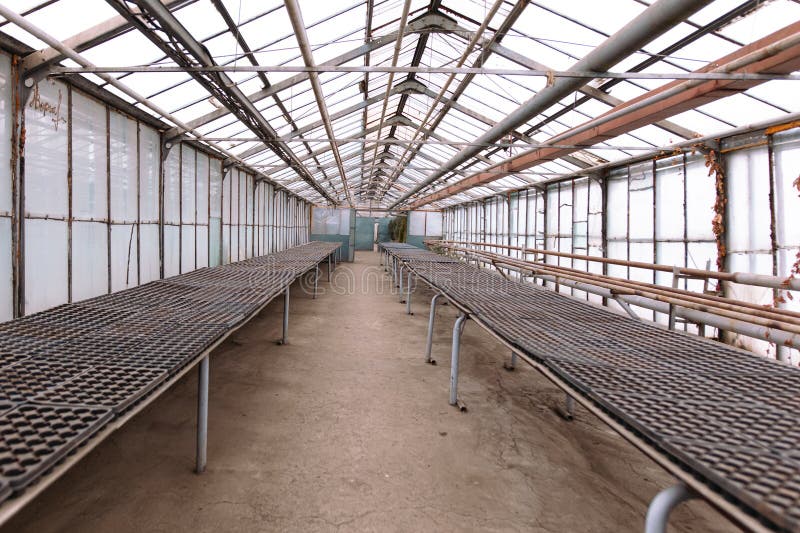Empty Molds for Seedlings Inside the Greenhouse. Stock Photo Image of