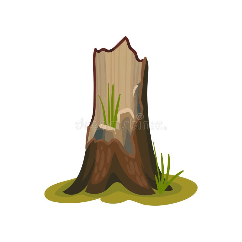 Empty old stump. Vector illustration on white background. vector illustration
