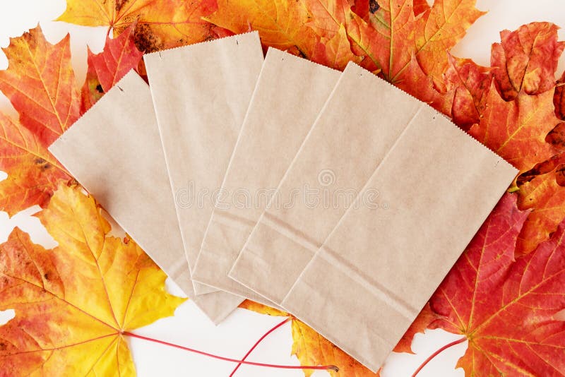 Empty paper bags on pile of dry autumn leaves on white