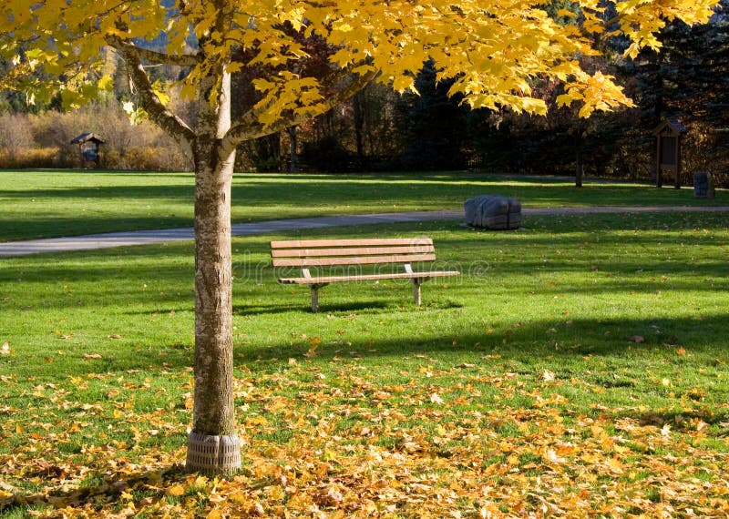 Empty park bench