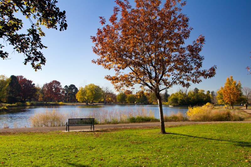 Empty Park Bench by Lake in Fall