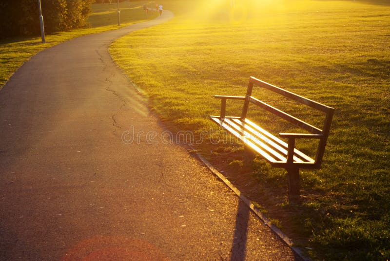 An empty park bench at sun down. Copy space.