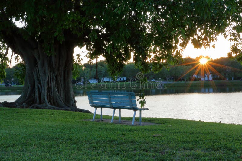 Empty park bench at sunset