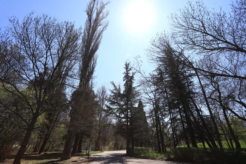 Empty park with empty benches as prevention from coronavirus Covid-19 disease. Closed park for restriction during quarantine royalty free stock images