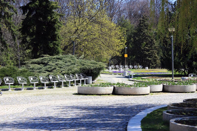 Empty park with empty benches as prevention from coronavirus Covid-19 disease. Closed park for restriction during quarantine stock photos