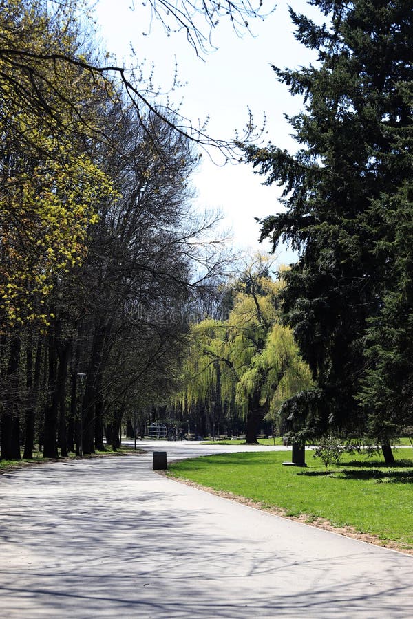 Empty park with empty benches as prevention from coronavirus Covid-19 disease. Closed park for restriction during quarantine royalty free stock image
