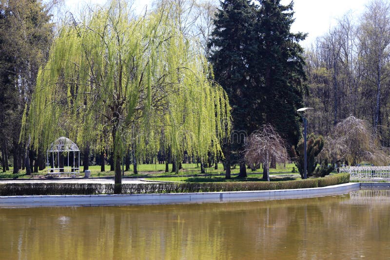 Empty park with empty benches as prevention from coronavirus Covid-19 disease. Closed park for restriction during quarantine royalty free stock photography